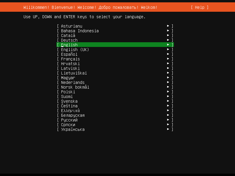 Ubuntu Server setup - Language selection