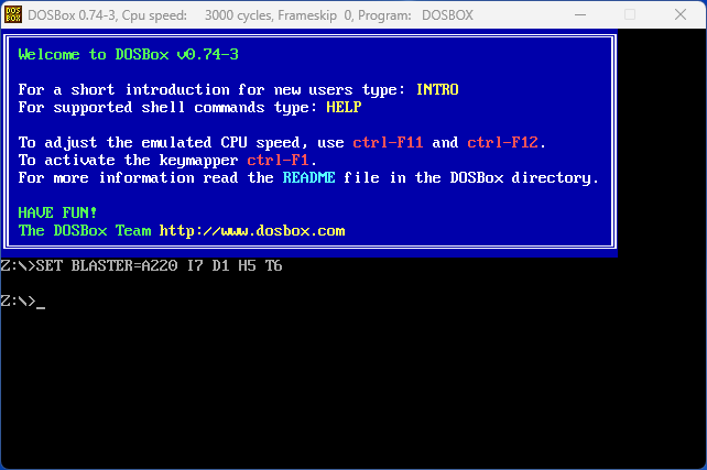 The DosBox command prompt