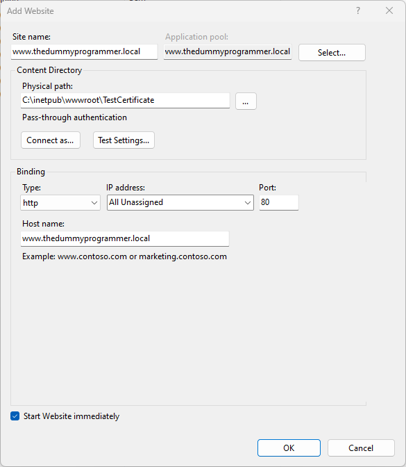 Website configuration on IIS