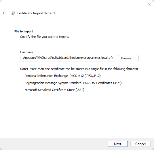 Import SSL certificate (step 2)